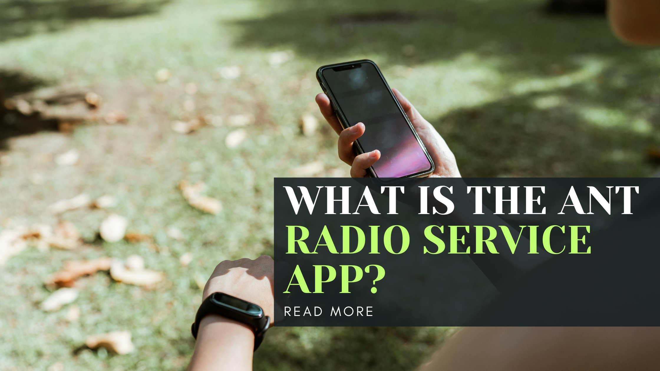 What is the Ant Radio Service app?